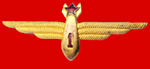 Navigator's badge