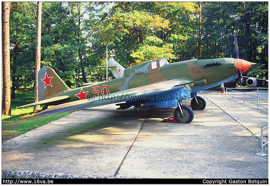 .Il-10