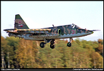 .Su-25 '31'