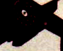http://www.16va.be/vertolet/bomb1.jpg